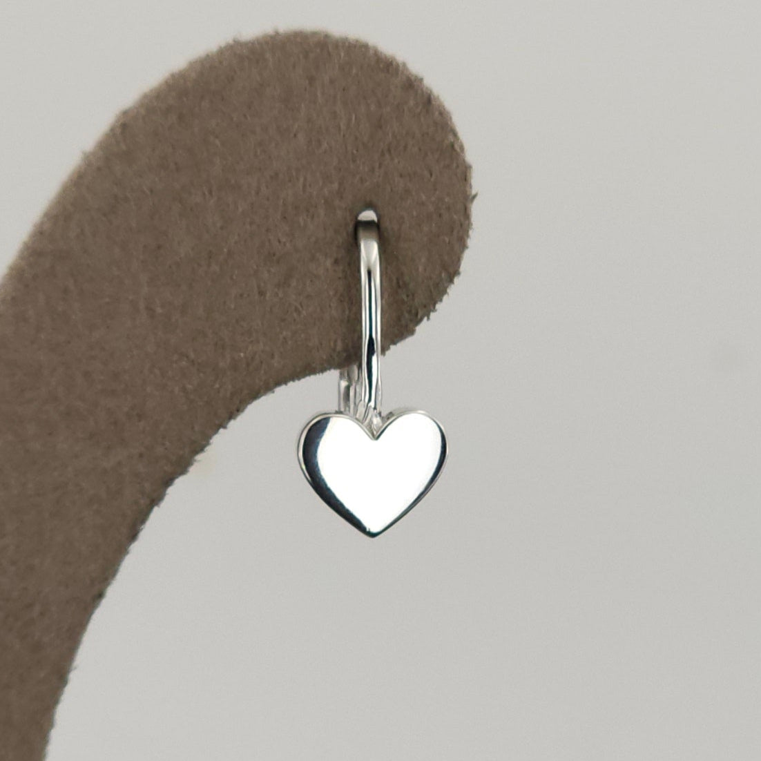 925 Sterling Silver Fashion Earring E5