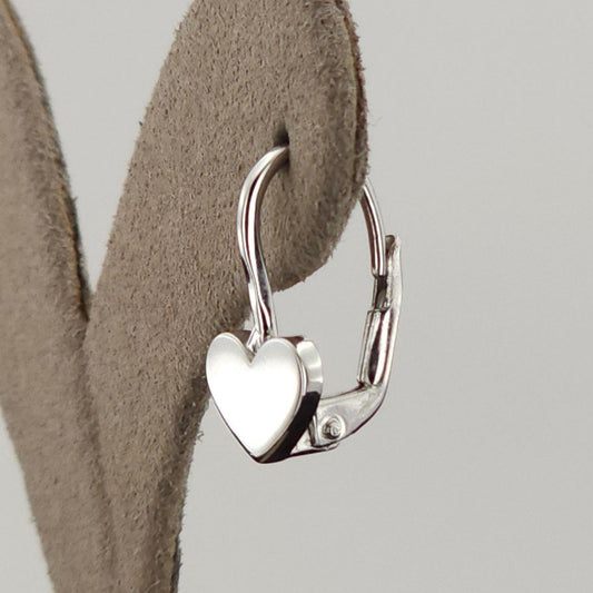 925 Sterling Silver Fashion Earring E5